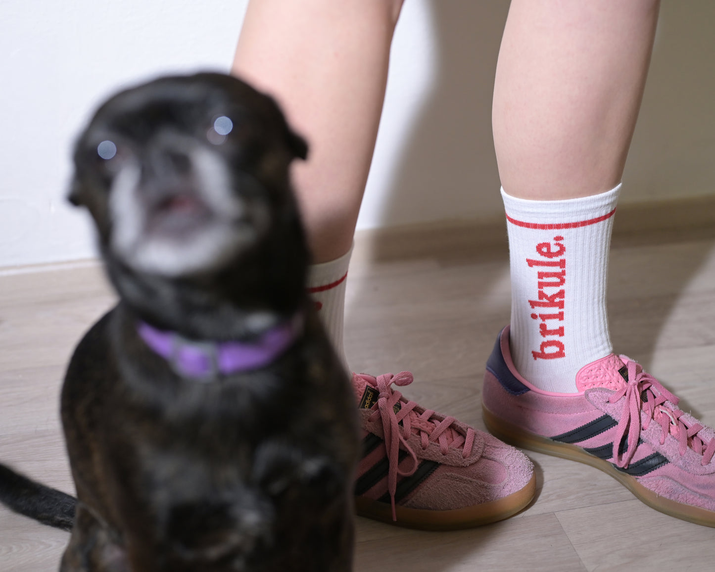 🆕 Ponožky nedělej brikule 2.0 | Eduard Birke. 🧦♥️